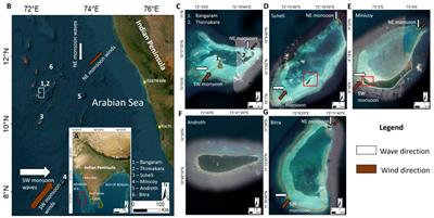 Decadal timescale evolution of coral islands: insights from Lakshadweep Archipelago